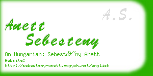 anett sebesteny business card